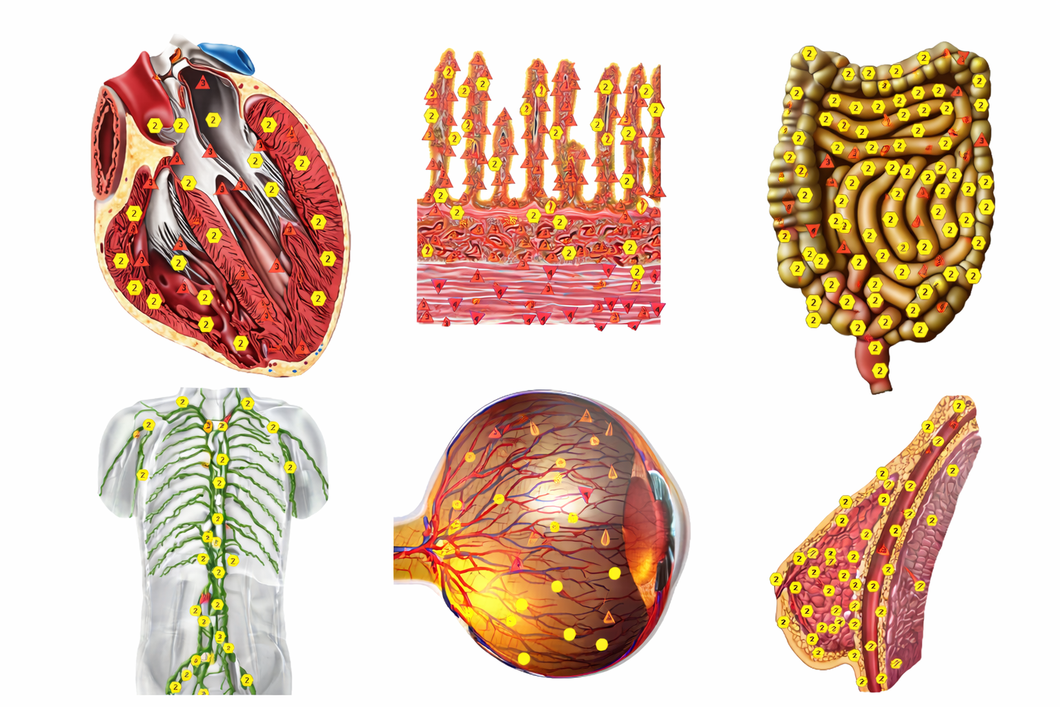 ChatGPT Image 16. 1. 2026 22_02_44